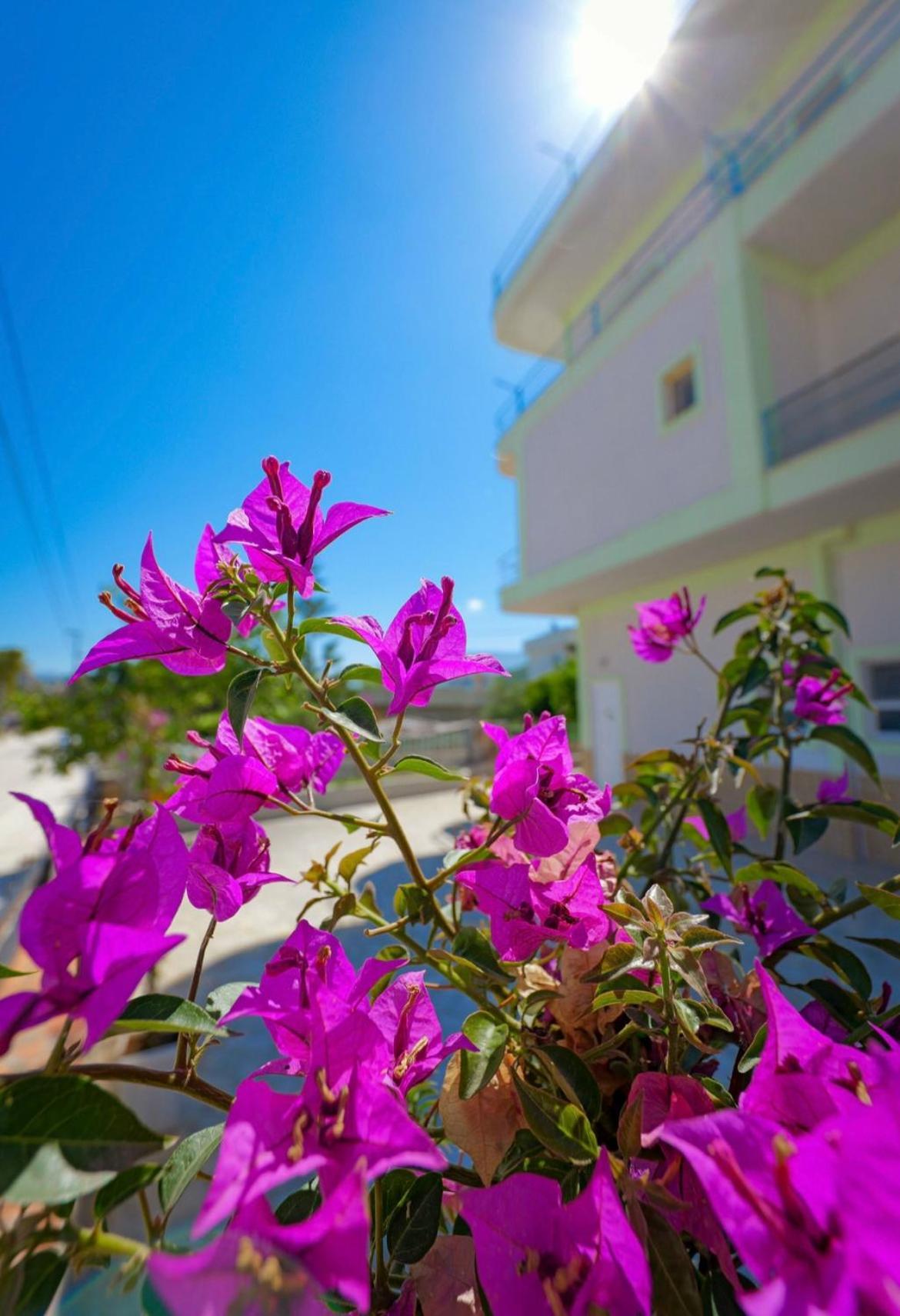 Sunflower Hotel Ksamil Extérieur photo
